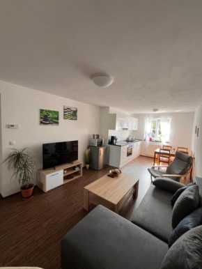 Apartmán Sadová 430